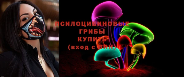a pvp Богородицк