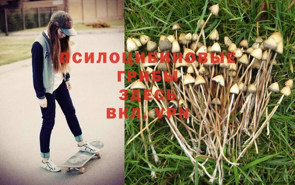 a pvp Богородицк