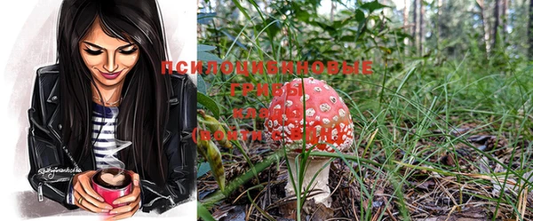 дживик Богданович