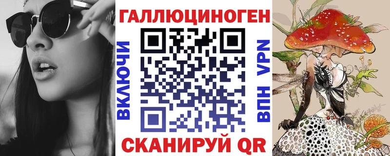 Купить где  Шагонар  Галлюциногенные грибы Psilocybine cubensis 